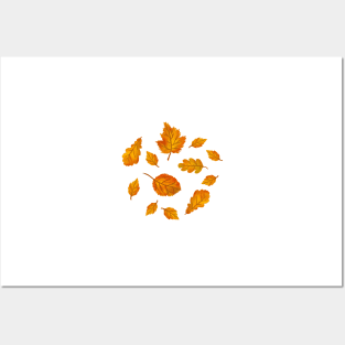 Autumn leaves Illustration Posters and Art